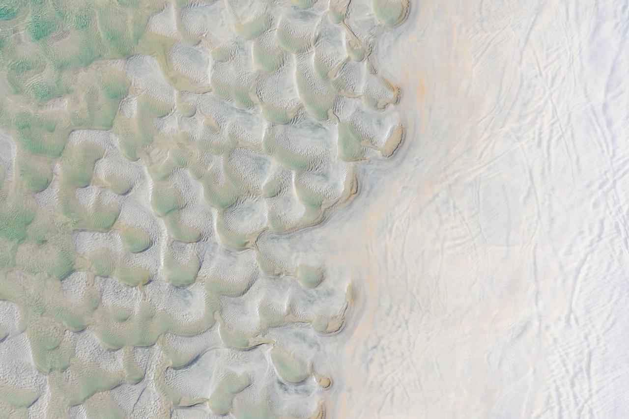Ebb-Dunedin Dış mekan fotoğraf Satellite image