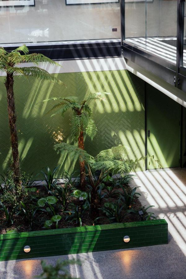 Ebb-Dunedin Dış mekan fotoğraf The interior of the conservatory